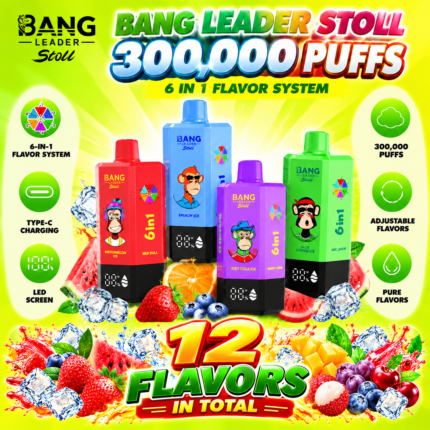 Bang Leader Stoll 300K｜300000パフ×6フレーバー内蔵 超長寿命使い捨てVAPE