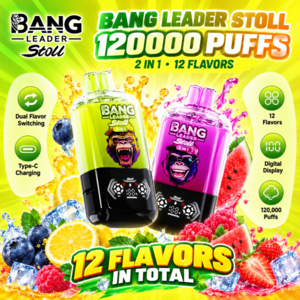 Bang Leader 120K｜マグネット式2-in-1切替×漏れ防止設計 120000パフ使い捨てVAPE